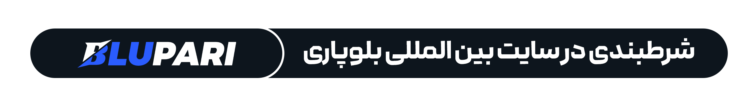 لوگوی بلوپاری